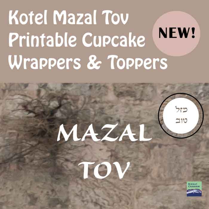 Kotel Cupcake Wrappers + Toppers - Click Image to Close