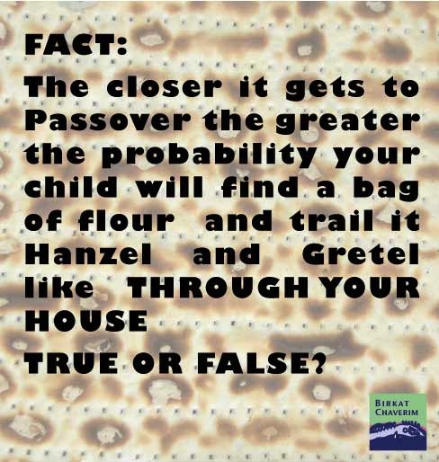 FACT: The closer it gets to Passover the greater the probability your child will find a bag of flour and trail it Hanzel and Gretel like THROUGH YOUR HOUSE TRUE OR FALSE? via birkat chaverim