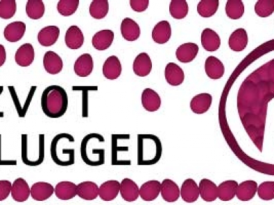 Mitzvot Unplugged Series from Birkat Chaverim