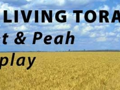 Guest Post The LIving Torah by Ilana from jewishhomeschoolnyc.com via birkat chaverim