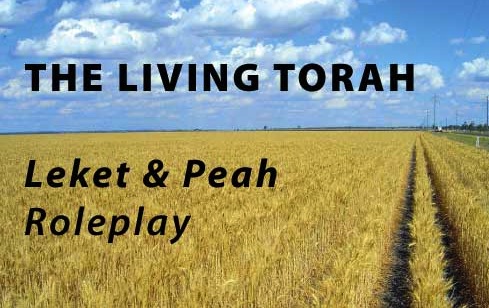 Guest Post The LIving Torah by Ilana from jewishhomeschoolnyc.com via birkat chaverim