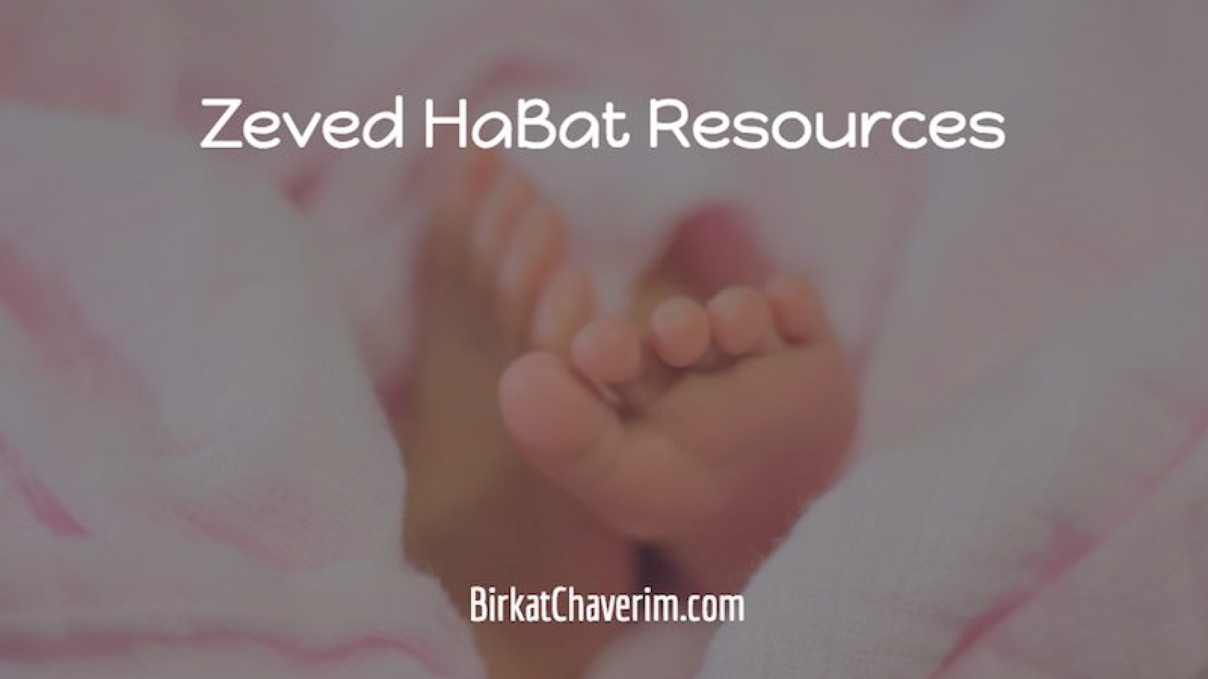baby feet on pink blanket as backdrop for text Zeved Habat Resources