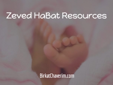 baby feet on pink blanket as backdrop for text Zeved Habat Resources
