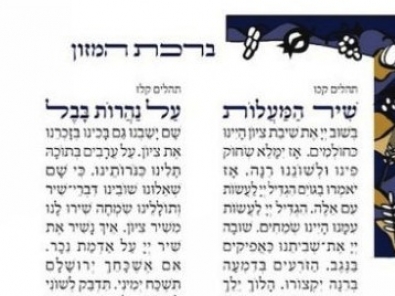 Seven species border Bnei Akiva Bencher