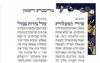 Seven species border Bnei Akiva Bencher