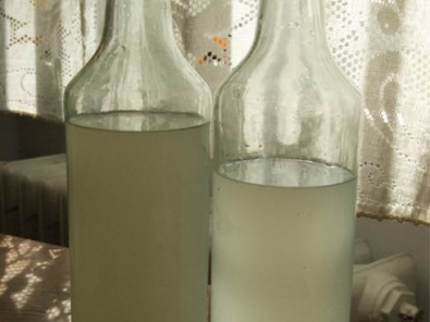 Photo of Homemade gingerale made to use up yeast pre Passover via Birkat Chaverim