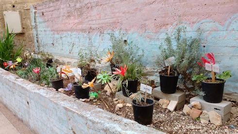 tu bshvat garden with recycled plastic bottle flowers
